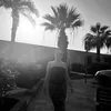 summeramelie