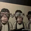 nico_saleppichi09