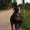 vitinhugox