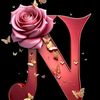 nanyfahmy537