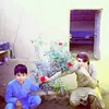 ihtishamhulaqgmail.com