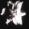 julia_k.20