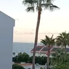 alinelemoigne