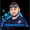 sheepdog291