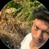 hampa____123