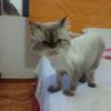 rocio.angelica