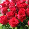 suluqyz_777