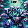 drsn_ebrulii