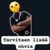 ohvin.mies