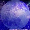 moon234567.5