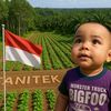 tani_tek