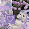 queen_of_tiktok_lyrics