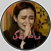 amir2411