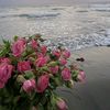 noor_kbi
