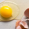 theebiggestegg
