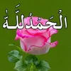 salahajoad