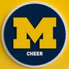 umichspirit