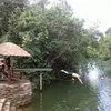 sergiodolenkei