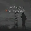 alipeerzada78