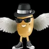 potato_pilot