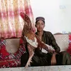 chehtisham598