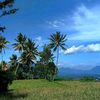 ms_garut