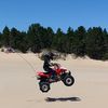 lal_lucas2