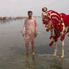 rehmanullah665