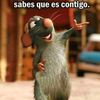 franciscobolanos23
