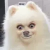 mahiiiiiii089