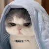 me.honghanhh