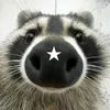 emo_raccoon.3