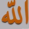 user1634691626186