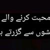 raza__hasan
