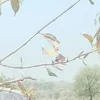 kashmr7868