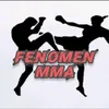 Fenomen MMA