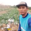 dedik9092
