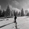 yl_f5