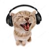 kityywithheadphones