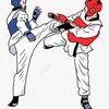 saif.tkd.22
