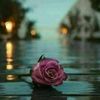 shabt_saif1
