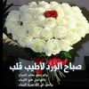 jamel.salem67