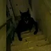 l_og_out