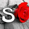 sanforasn1