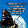 lp_ange.11
