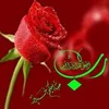 dy04gw4f215a