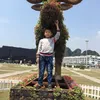 phnguyenvu