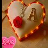 amorrr478