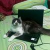 mamahcute76__