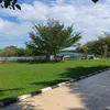 trindi18
